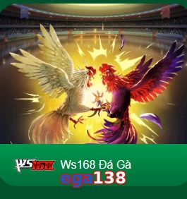 ega138